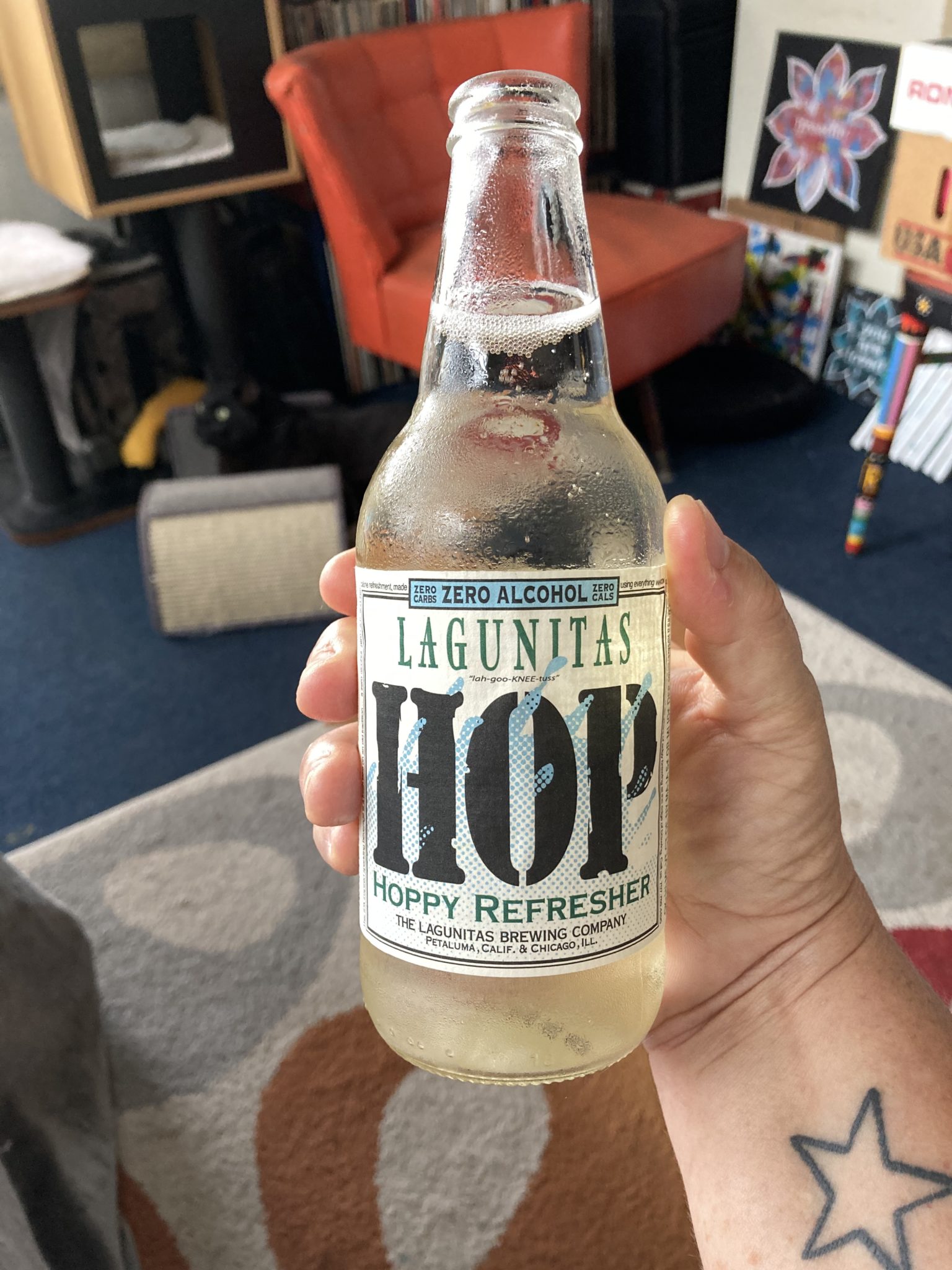 lagunitas hoppy refresher | margaretcoble.com